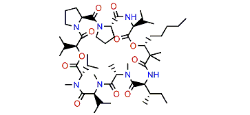 Wewakpeptin B